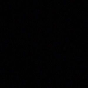 Meet your Posher, Rae